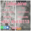 CAS 137-58-6 Lidocaine Xylocaine powder Safe Customs Clearance Door to