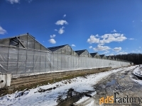 Тепличный комплекс в Калужской области