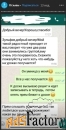 Репетитор по математике и физике (7–11 классы)
