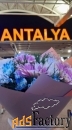 VIP Трансфер в Анталии,  Турция