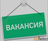 Требуется Специалист по онлайн-продвижению