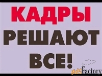 Специалист по подбору персонала