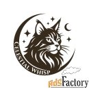 Celestial Whisp – Питомник породистых кошек Maine Coon