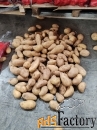 Картофель оптом.