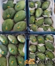 Манго оптом.