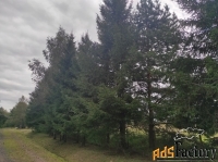 Участок 24 сот. (садоводство)