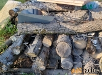 Дрова бесплатно. Самовывоз