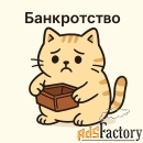Банкротство физических лиц онлайн и без выезда в офис