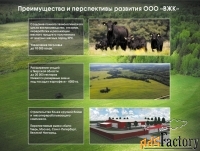 Участок 24733 сот. (сельхозназначения)