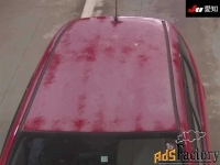 Honda Fit, 2011