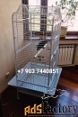 Клетка для крупных попугаев