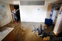 Экспертиза оценка