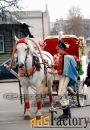 Фотограф на свадьбу, юбилей и т. д. в Коврове