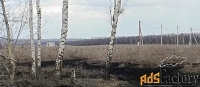 Участок 260 сот. (сельхозназначения)