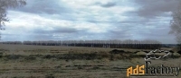 Участок 260 сот. (сельхозназначения)