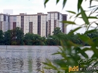 1 - комн.  квартира, 31.0 м², 11/17 эт.