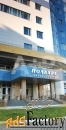 офисное помещение, 146.0 м²