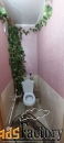 1 - комн.  квартира, 37.8 м², 4/5 эт.
