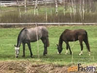 Участок 12.0 сот. (другое)