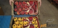продаем персики