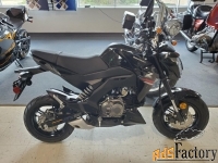 2019 kawasaki z125 pro