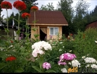 дом 31,7 м² на участке 6 сот.