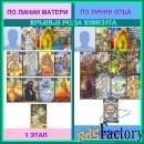 Принятие СИЛЫ РОДА. Комплексная программа.