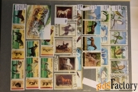 продам почтовые марки по теме фауна, флора