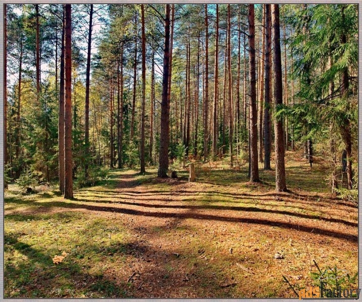 Участок 35000 сот. (садоводство)