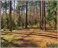 Участок 4884 сот. (ижс)