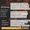 Снос, демонтаж сараев, дачных домов в Ленинградской области