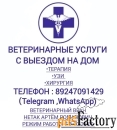 Ветеринарный врач УЗИ выезды