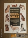 Книга «Большой справочник «Породы собак»