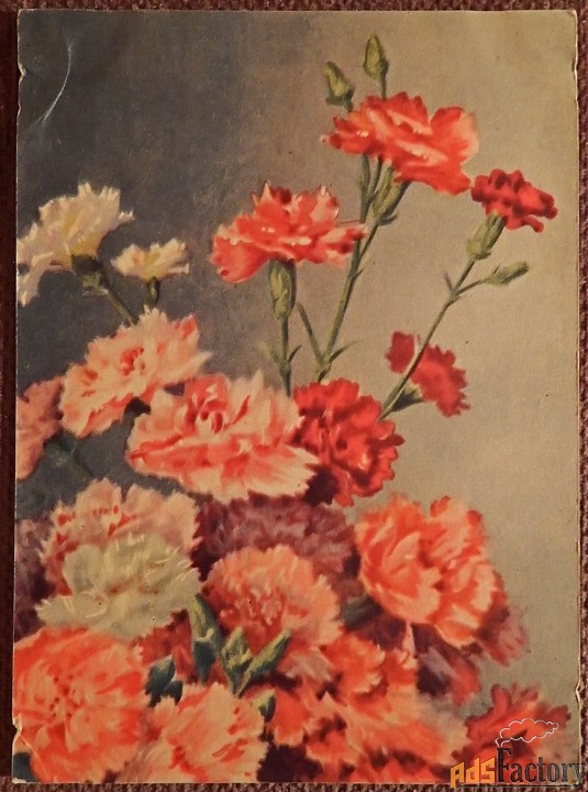 открытка гвоздики. 1955 год