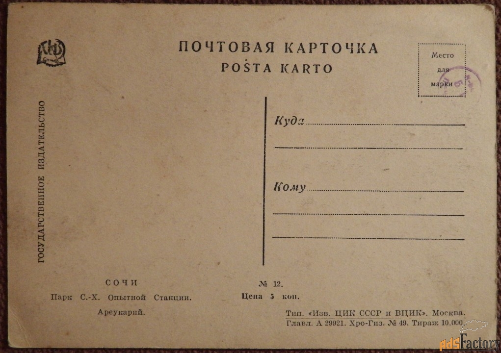 Открытка. Сочи. Парк С.-Х. Опытной Станции. Ареукарий. 1920-е годы