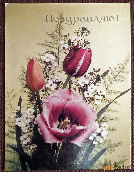 Открытка. Дергилев. Поздравляю. 1991 год