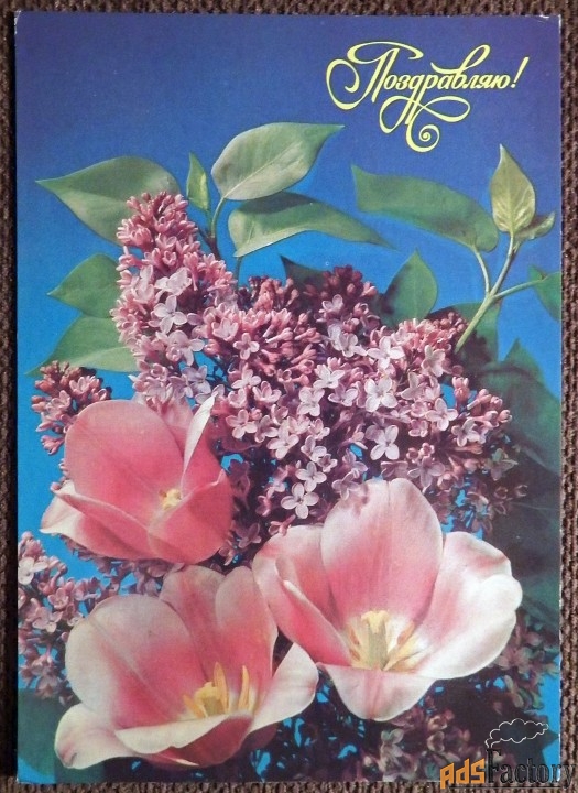 Открытка. Дергилев. Поздравляю. 1991 год