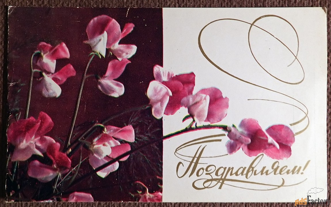 Двойная открытка. Поздравляем. Цветы. 1981 год