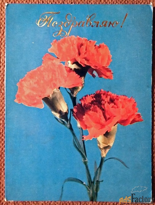 Двойная открытка. Поздравляю. Гвоздики. 1980 год