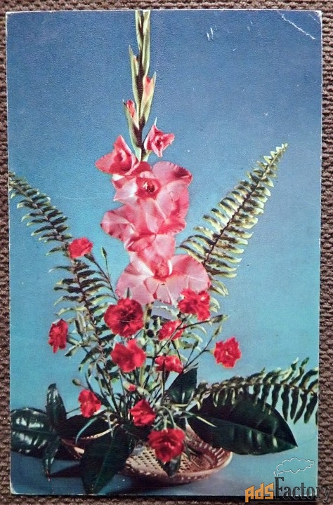 Открытка. Цветочная композиция. С праздником. 1975 год