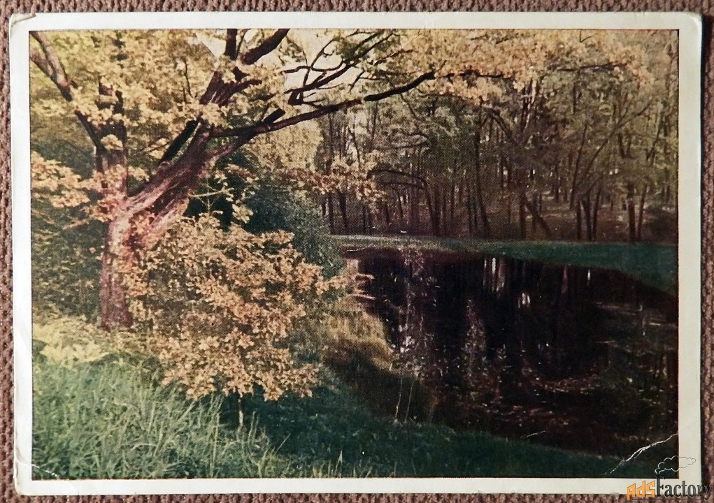Открытка. Псковская обл. С. Михайловское. Пруд. 1949 год