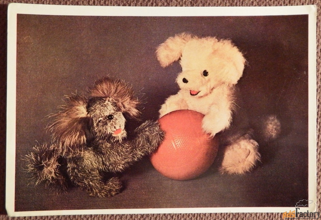 Открытка. Малыши. Собаки. Щенята. Игрушки. 1966 год