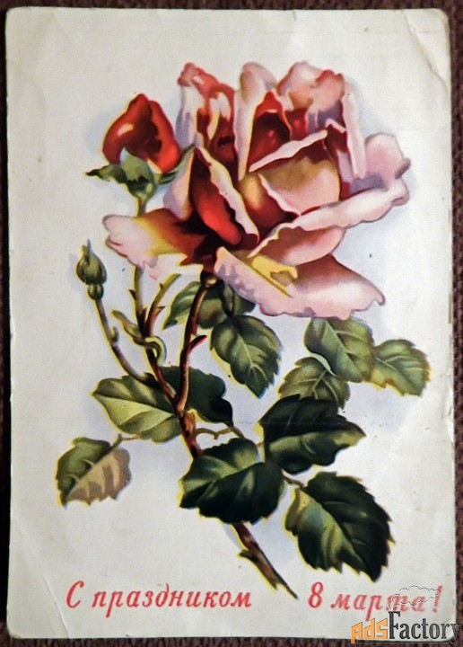 Открытка. Роза. Цветы. 8 Марта. Таллин. 1956 год