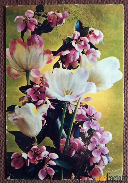 Открытка. Весенний букет. Тюльпаны. Цветы. 1975 год