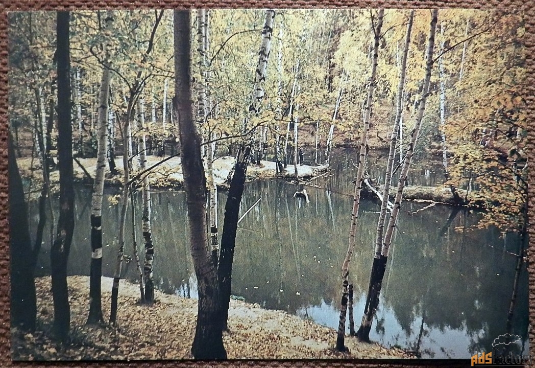 Открытка. Осень. Пейзаж. 1989 год