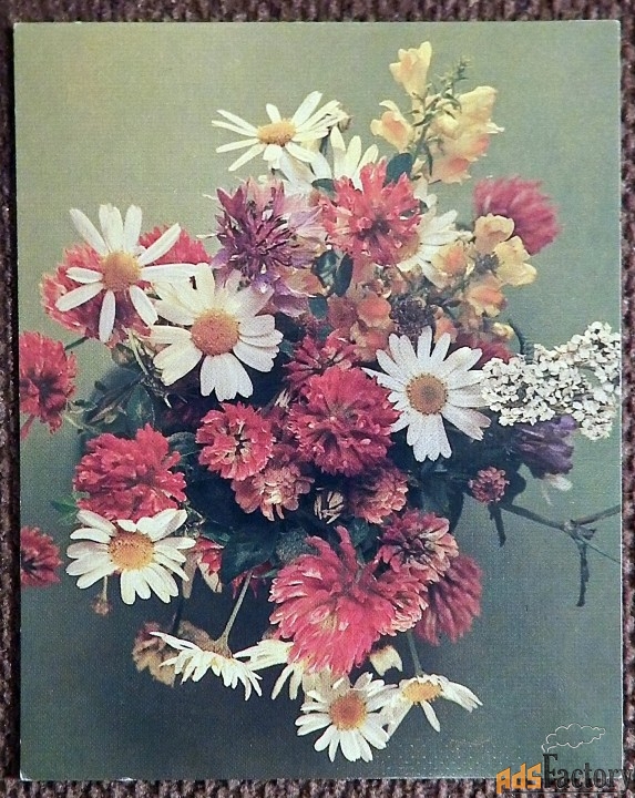 Мини-открытка. Композиция из цветов. Цветы. 1984 год