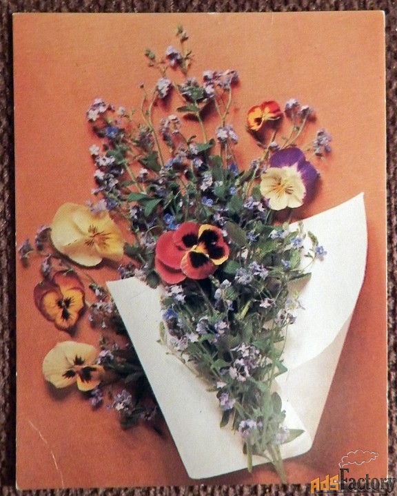 Мини-открытка. Анютины глазки. Композиция. Цветы. 1987 год