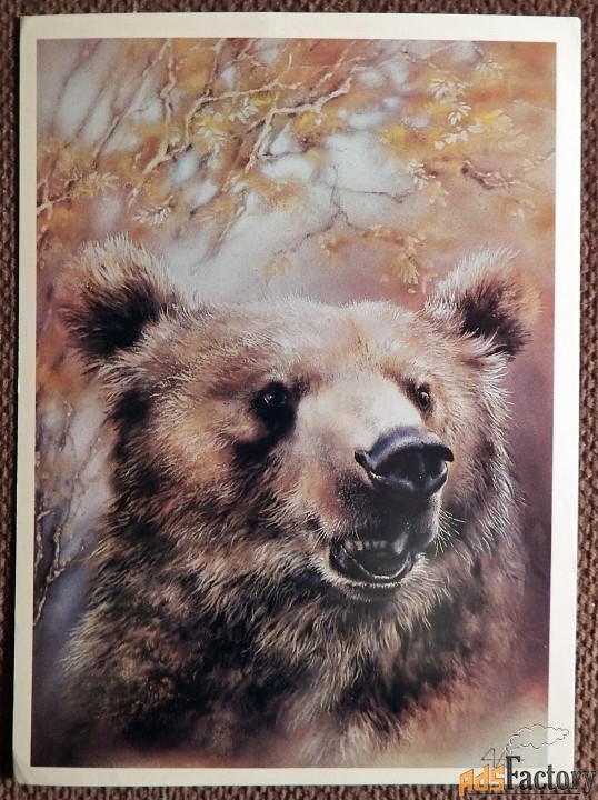Открытка. Худ. Исаков. Медведь. 1989 год