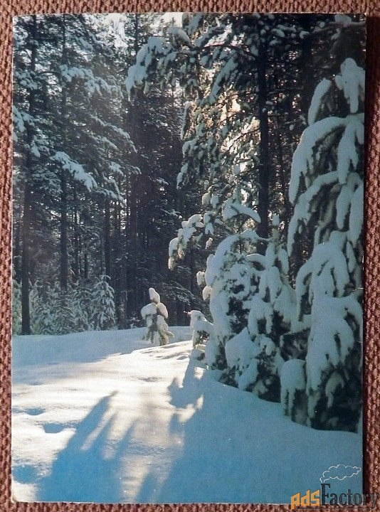 Открытка. Зимний лес. Пейзаж. 1986 год