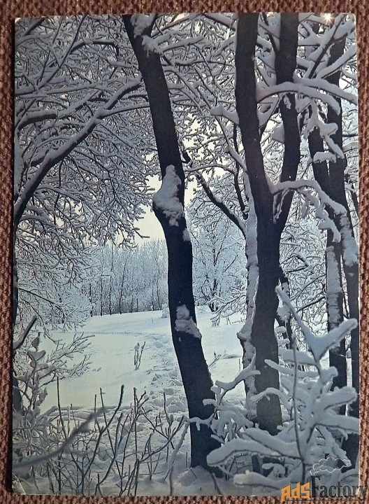 Открытка. Зимы узоры. Пейзаж. 1986 год